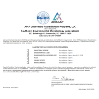 AIHA Greenville 1