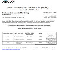 AIHA Greenville 2