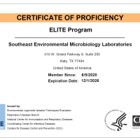 Elite-Certificate